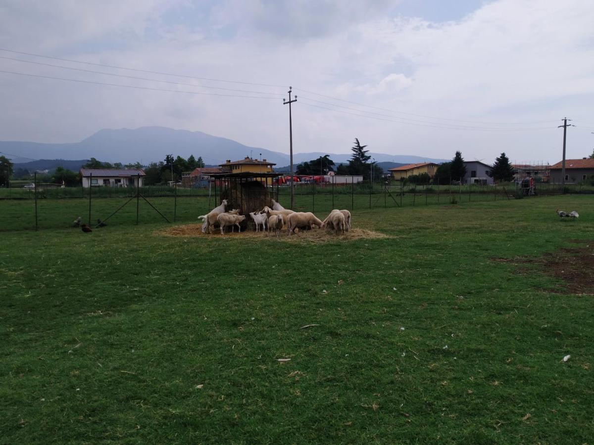 Ca Del Ponte Villa Costermano Luaran gambar